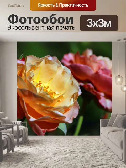 Фотообои Роза