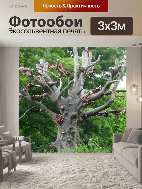 Фотообои Дерево с отрезанными ветвями