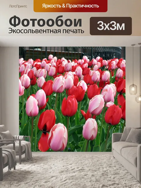 Фотообои Тюльпаны