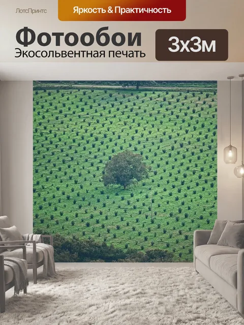 Фотообои Деревья