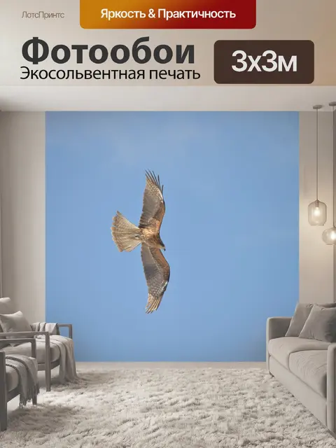 Фотообои Птица