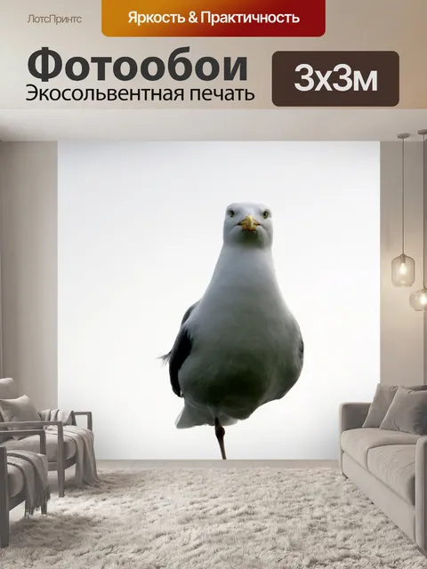 Фотообои чайка