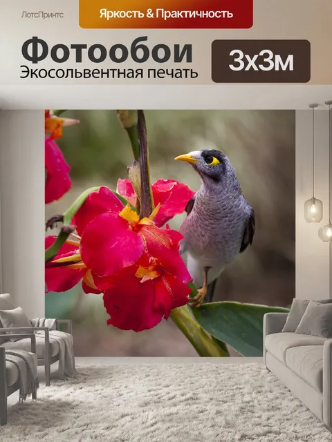 Фотообои Птица