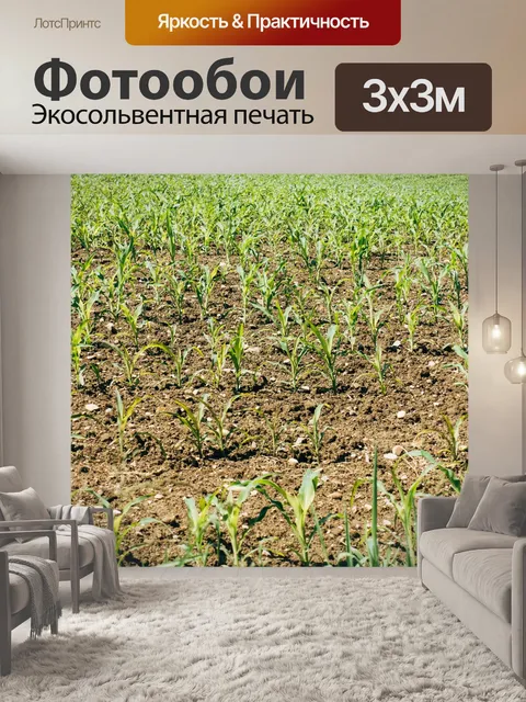 Фотообои Завод