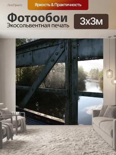 Фотообои Паутина