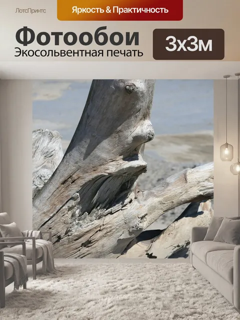 Фотообои Ствол