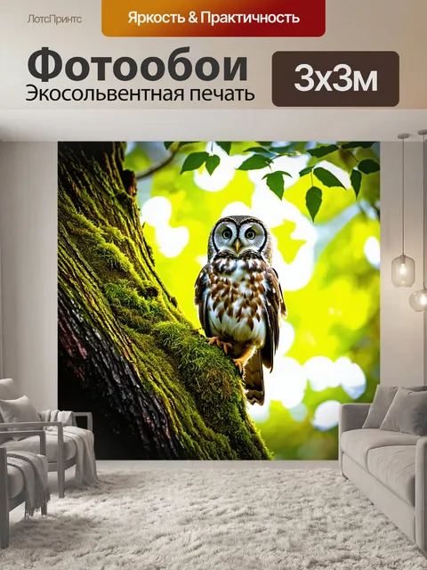 Фотообои сова, сидящая на старом, мшистом дереве в зоопарке, с ярким солнечным светом, проникающим сквозь листву