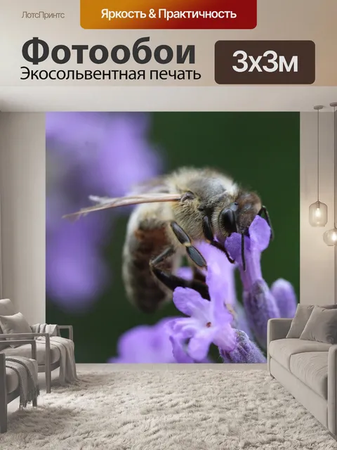 Фотообои Пчела