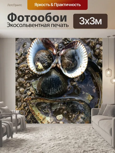 Фотообои Сердитый