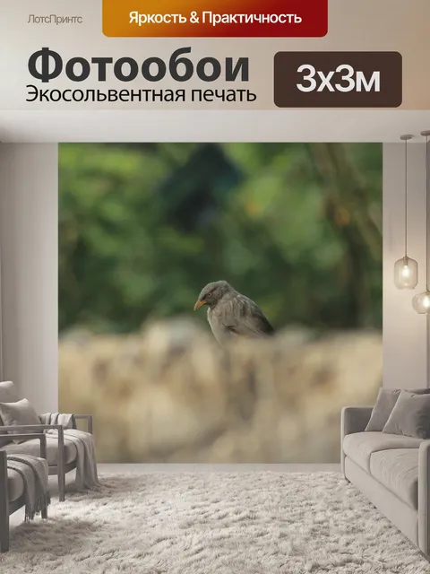 Фотообои Птица