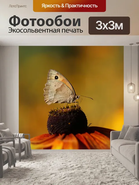 Фотообои Бабочка