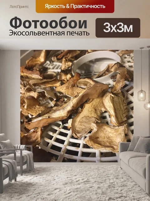 Фотообои Гриб
