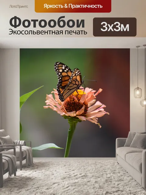 Фотообои Бабочки