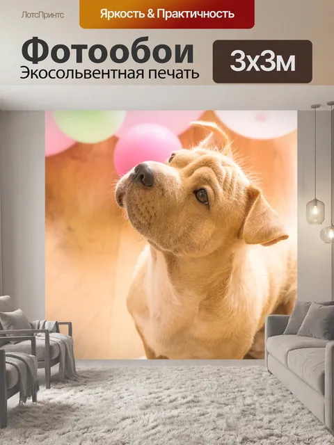 Фотообои Собака