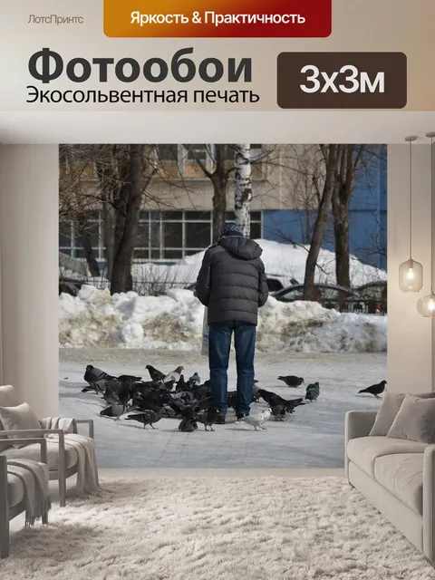 Фотообои Голуби