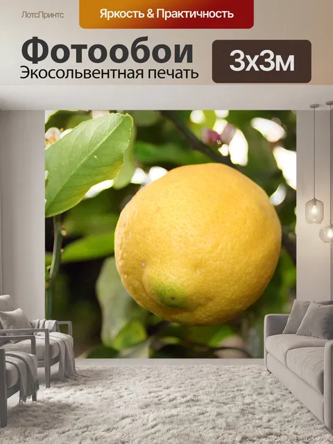 Фотообои акцентировано лимона и листья