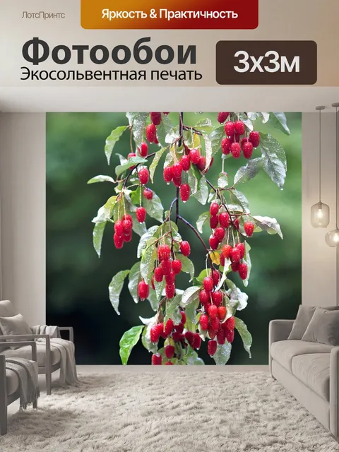 Фотообои Фрукты