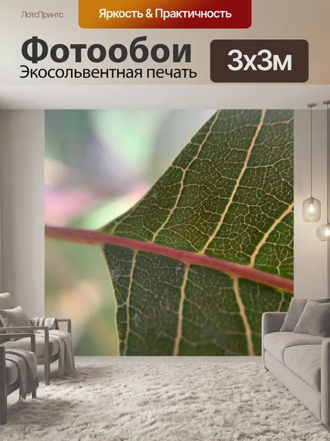 Фотообои Лист