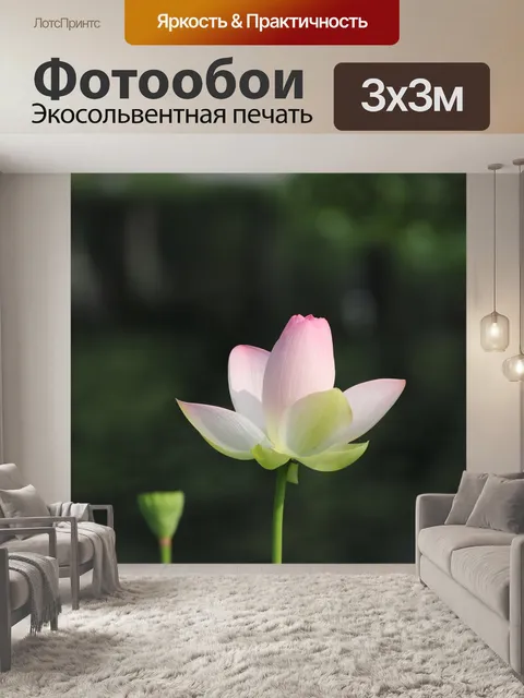Фотообои Лотос