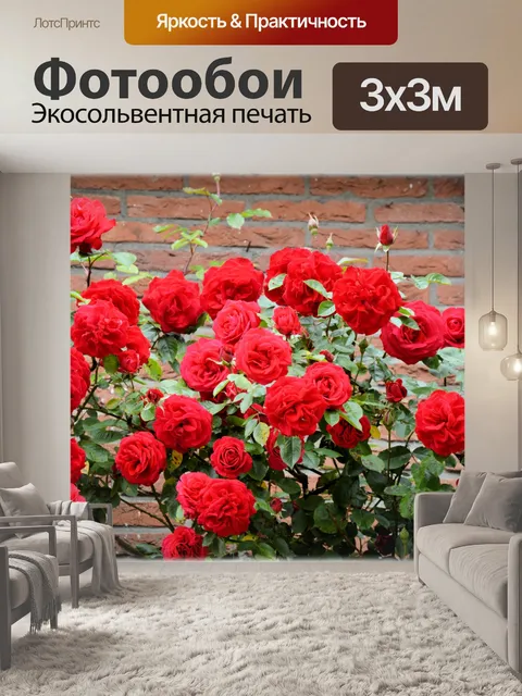 Фотообои Красные розы