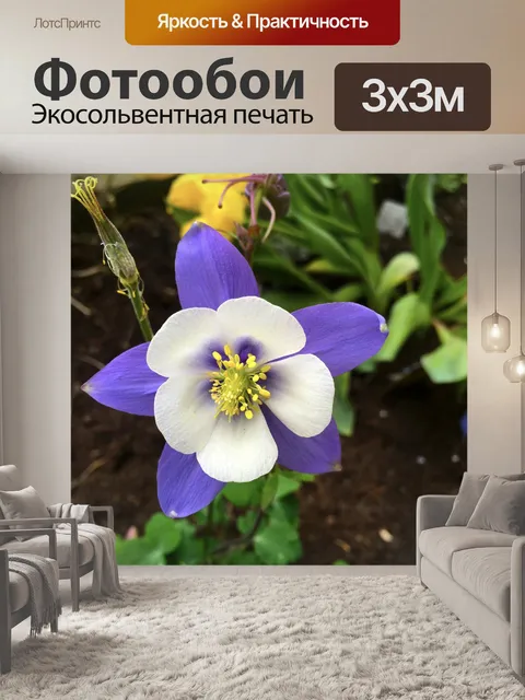Фотообои Весна