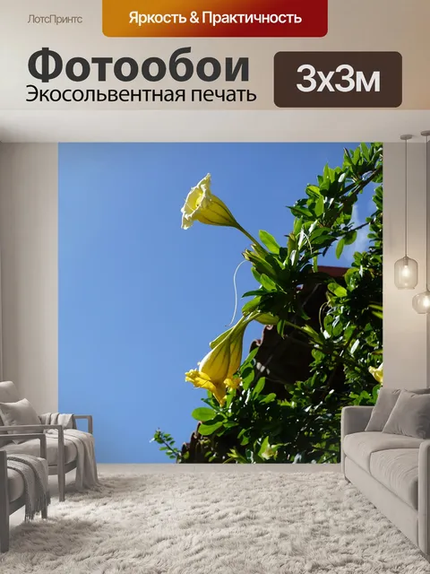 Фотообои Дурман