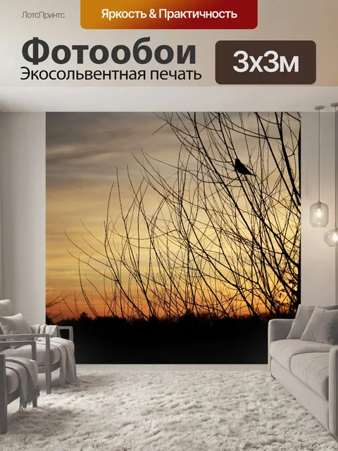 Фотообои птица силуэт