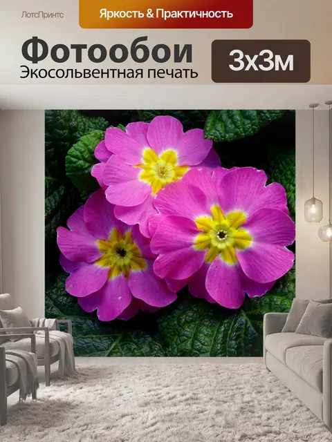 Фотообои Довольно розовые и желтые цветы