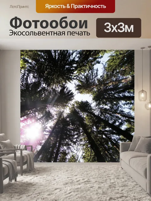 Фотообои Лес