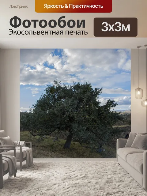 Фотообои Природа