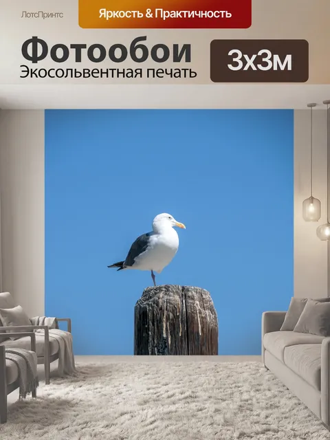Фотообои чайка