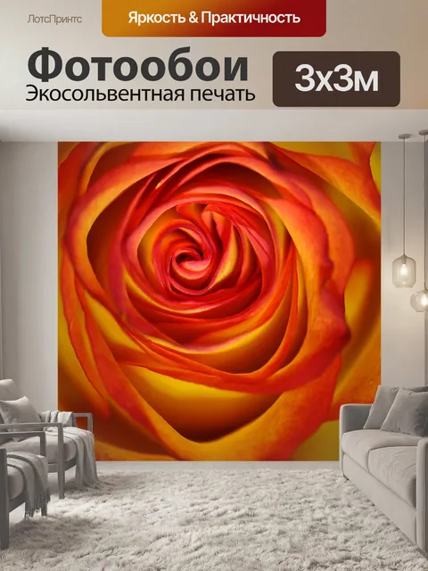 Фотообои Роза