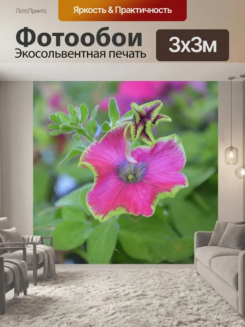 Фотообои Цветок
