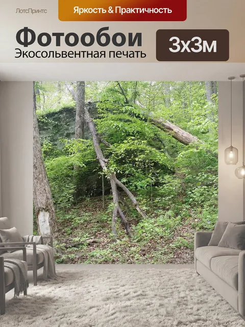 Фотообои Лес