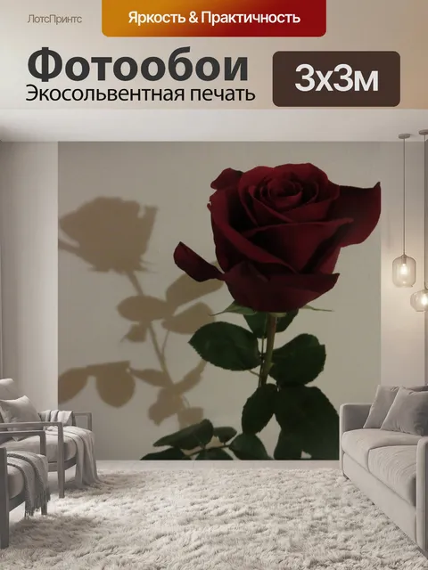 Фотообои Роза и тень