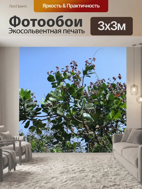 Фотообои Деревья