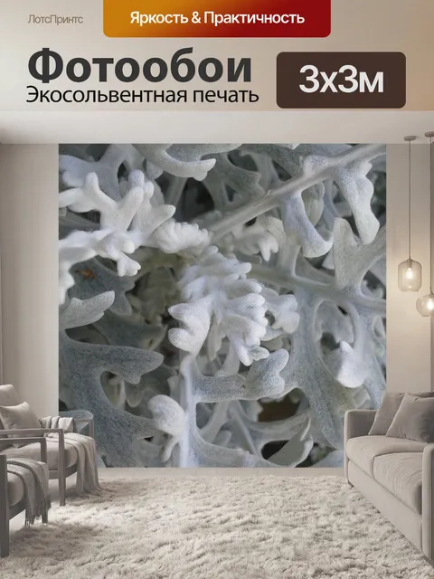 Фотообои Трава обыкновенная
