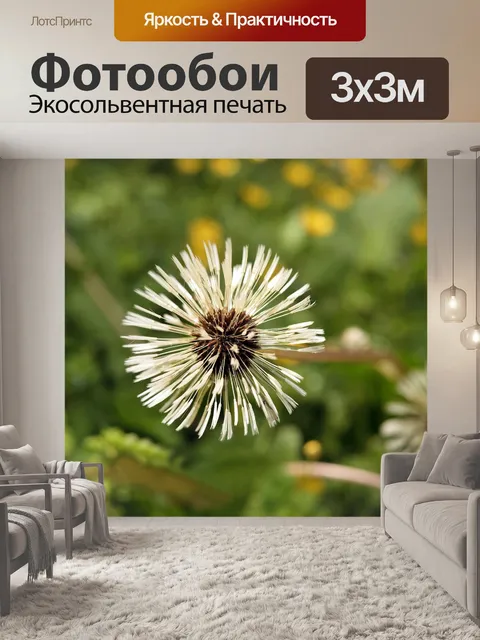 Фотообои Одуванчик