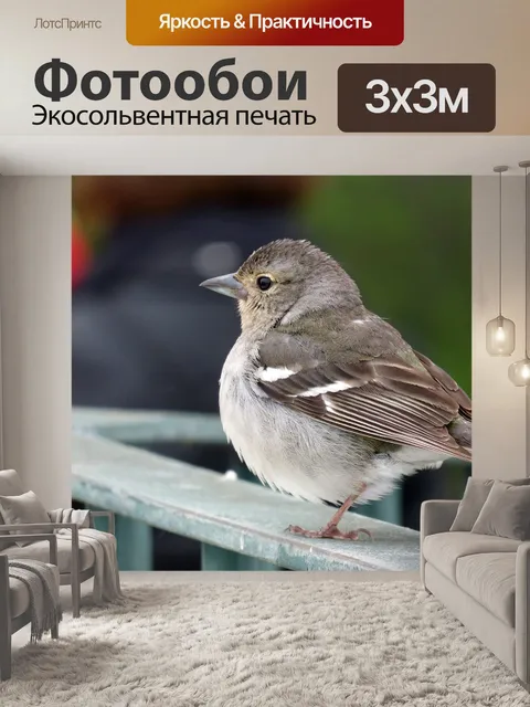 Фотообои Воробей