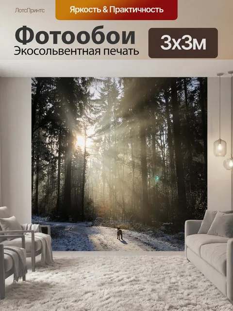Фотообои Лес