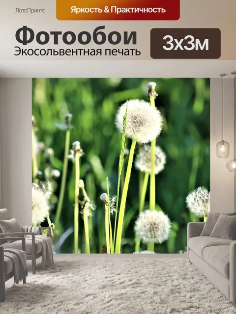Фотообои Трава