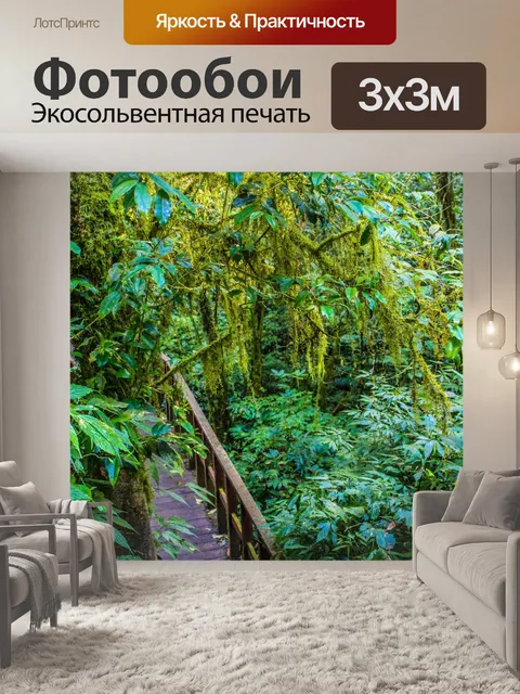 Фотообои Тропический лес в Дои Интанон, Чиангмай