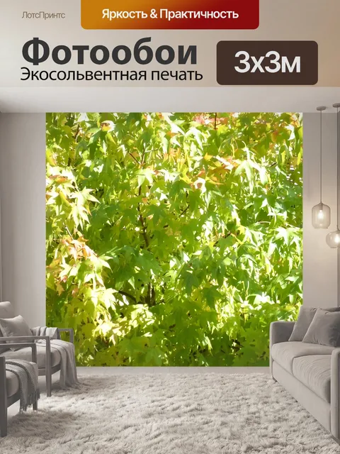 Фотообои Листва растений и 204