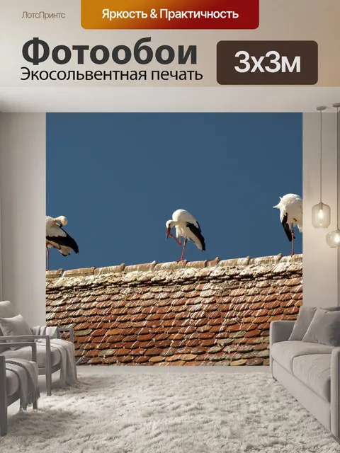 Фотообои Аист
