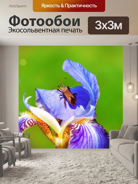 Фотообои Разъем straszyk
