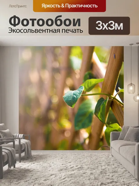 Фотообои листья