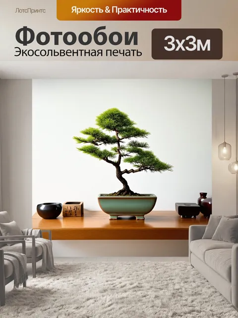 Фотообои минималистичное изображение бонсай лиственницы в элегантной керамической вазе