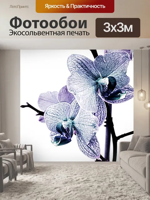 Фотообои Изолированная орхидея