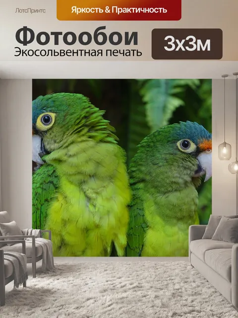 Фотообои Попугаи