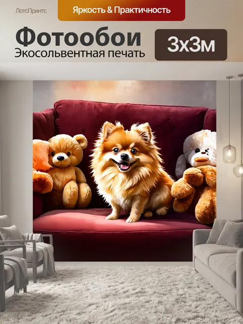 Фотообои **русский**: померанский шпиц с озорной улыбкой сидит на бархатном диване